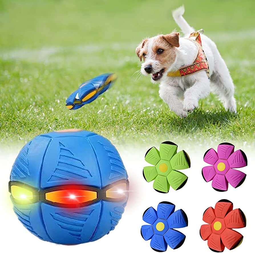 Trendiko Durable Dog Flying Disc – 24cm Transforming Toy