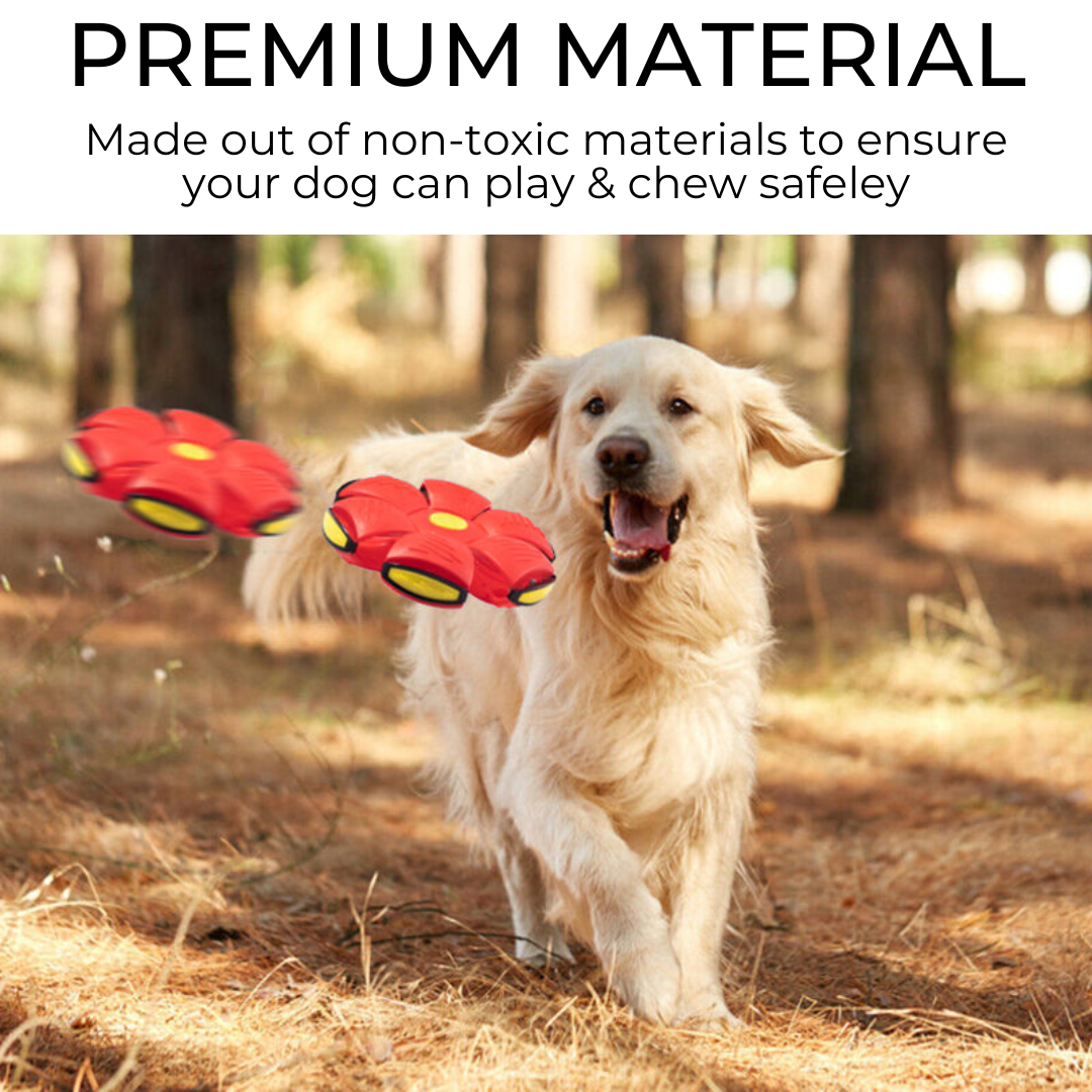 Trendiko Durable Dog Flying Disc – 24cm Transforming Toy