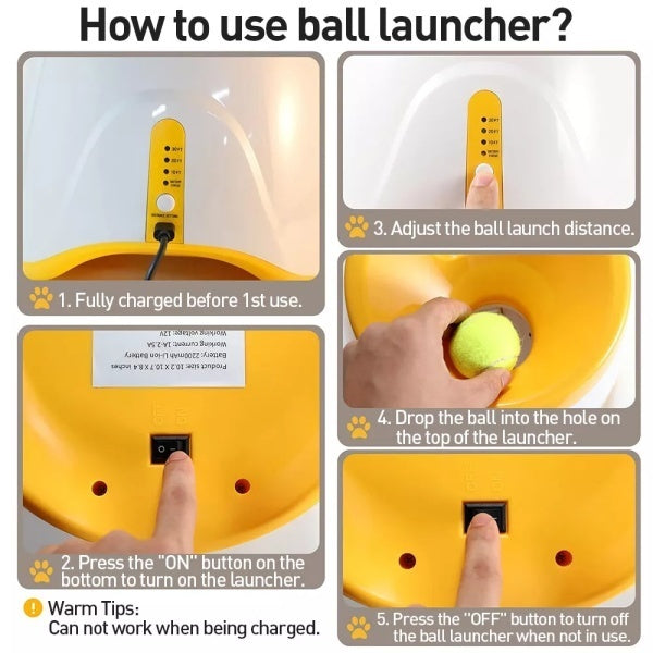 Automatic dog ball launcher